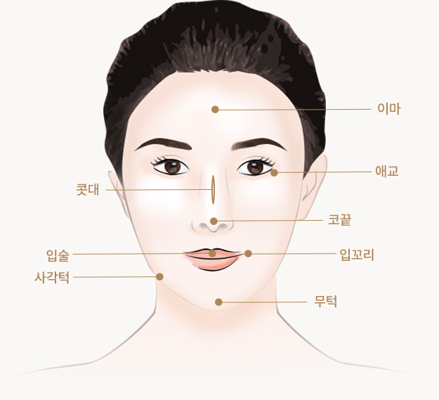 얼굴 각 부위별 명칭(이마, 애교, 콧대, 코끝, 입술, 입꼬리, 사각턱, 무턱)