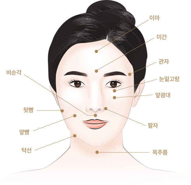 얼굴 각 부위별 명칭(이마, 미간, 관자, 눈밑고랑, 앞광대, 팔자, 비순각, 뒷뺨, 앞뺨, 턱선, 목주름)